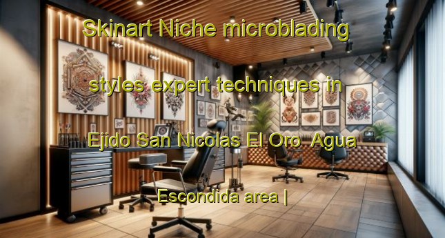 Skinart Niche microblading styles expert techniques in Ejido San Nicolas El Oro  Agua Escondida area | MicrobladingTraining | MicrobladingClasses | SkinartTraining-Mexico